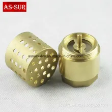 Brass Spring Check Valve with Filter as-C003